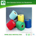 Zend Small Width PP Nonwoven Fabric for Mask (LST-0907)